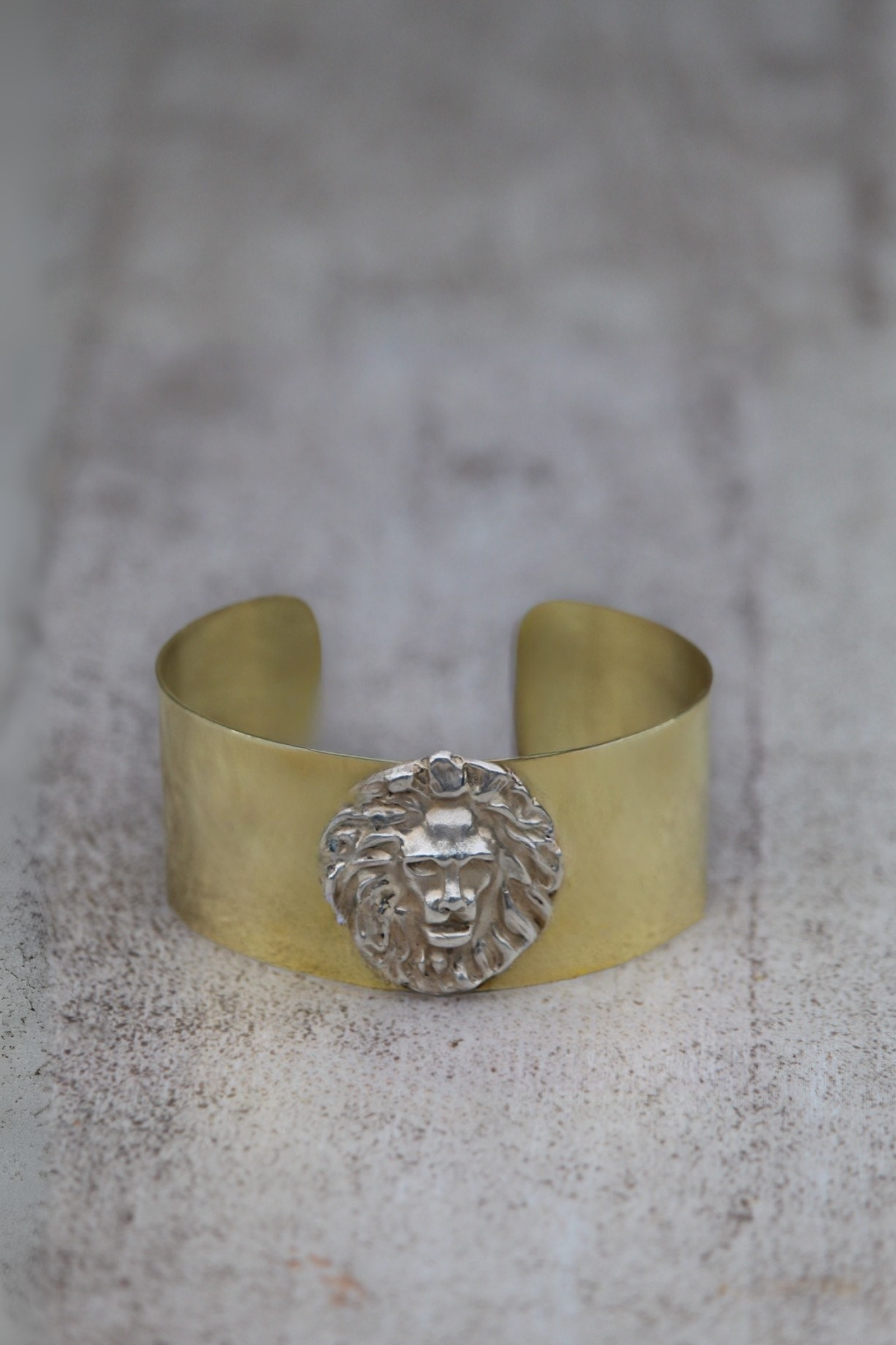 Esclava bronce león plata