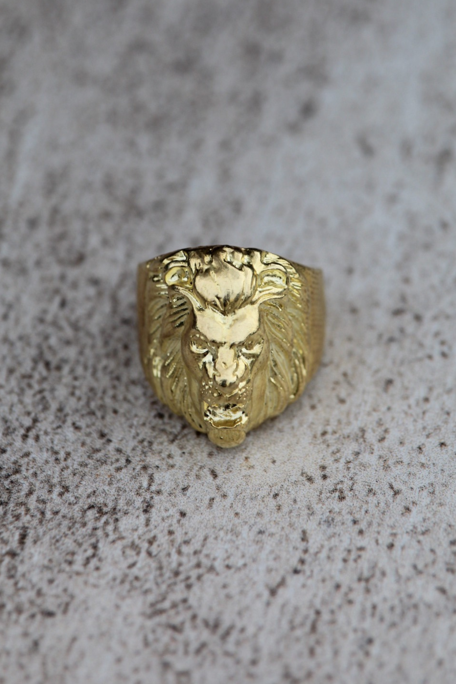 Anillo meñique Leon bronce