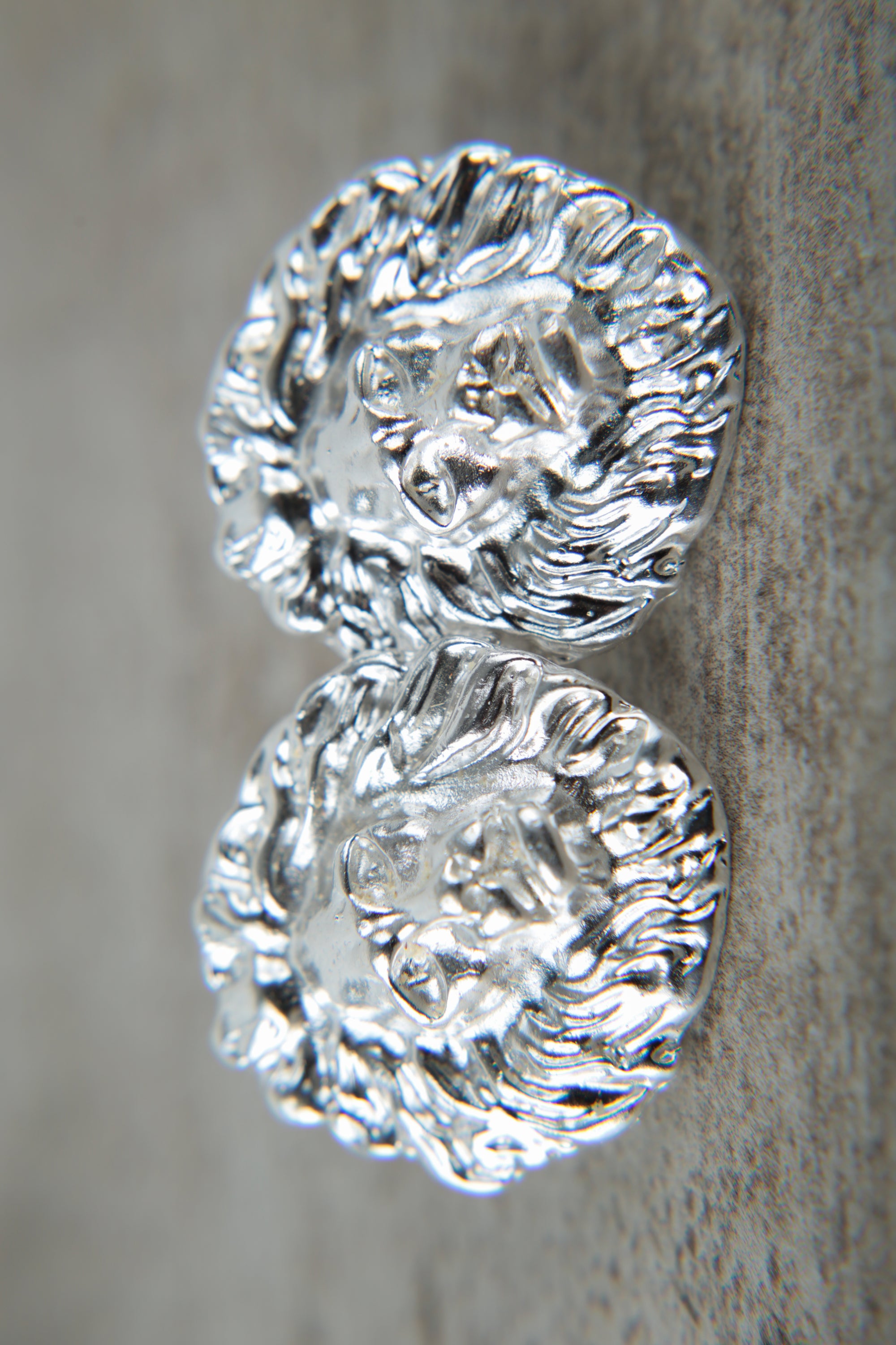 Aros León plata