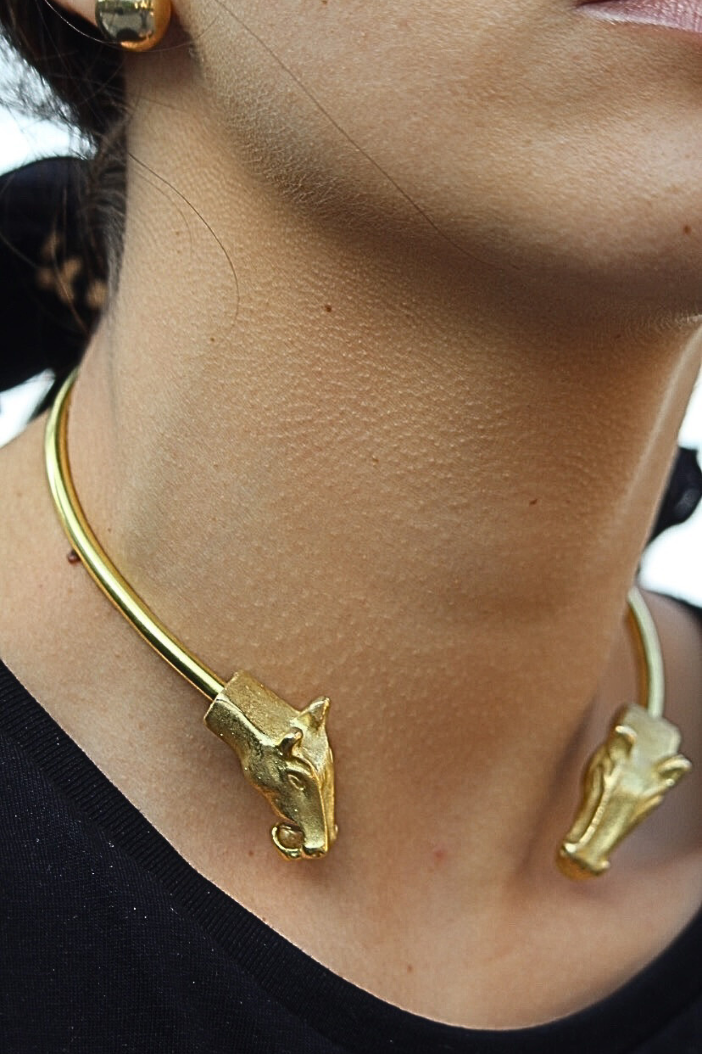 Chocker cabezas caballo