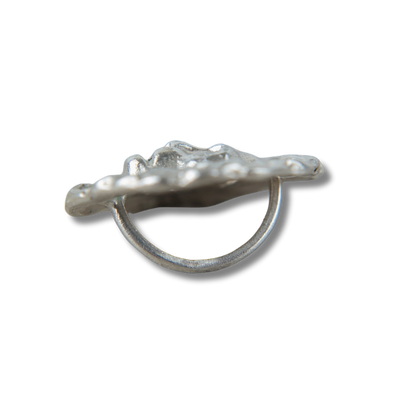 Colgante plata León