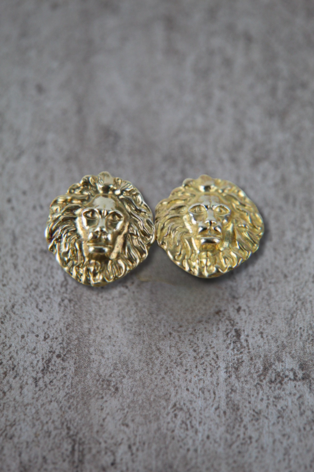 Aros León bronce