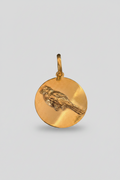 Medalla Chucao Bronce — Co Rivera Chile