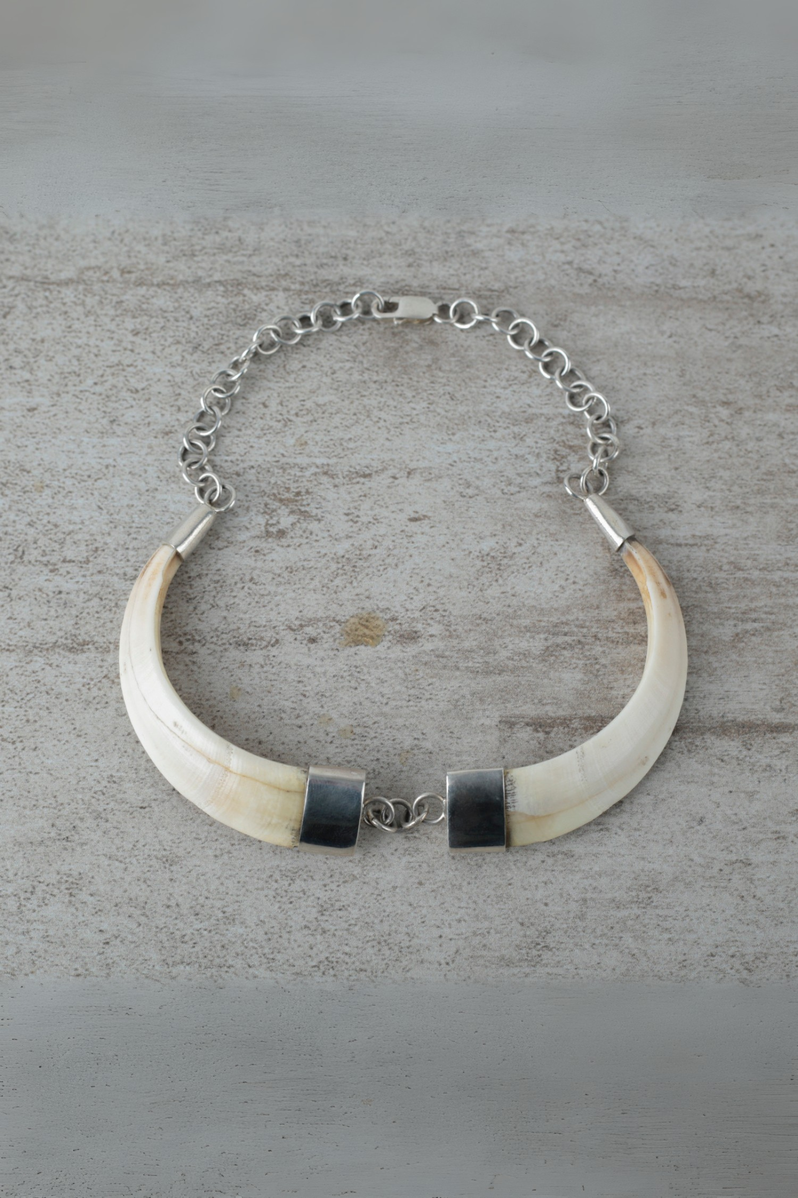Collar doble colmillo Jabalí