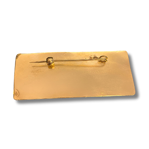 Prendedor placa aguila bronce