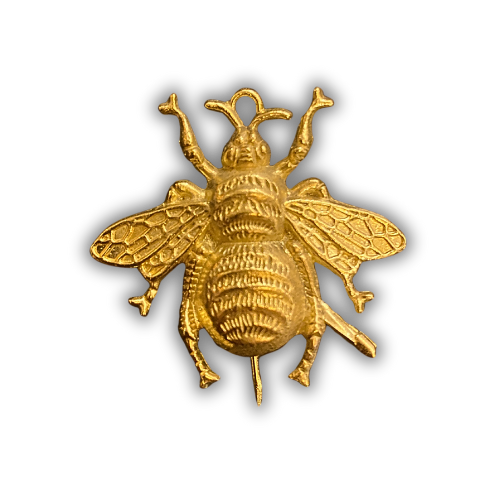 Broche escarabajo