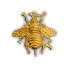 Broche escarabajo