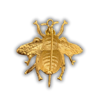 Broche escarabajo