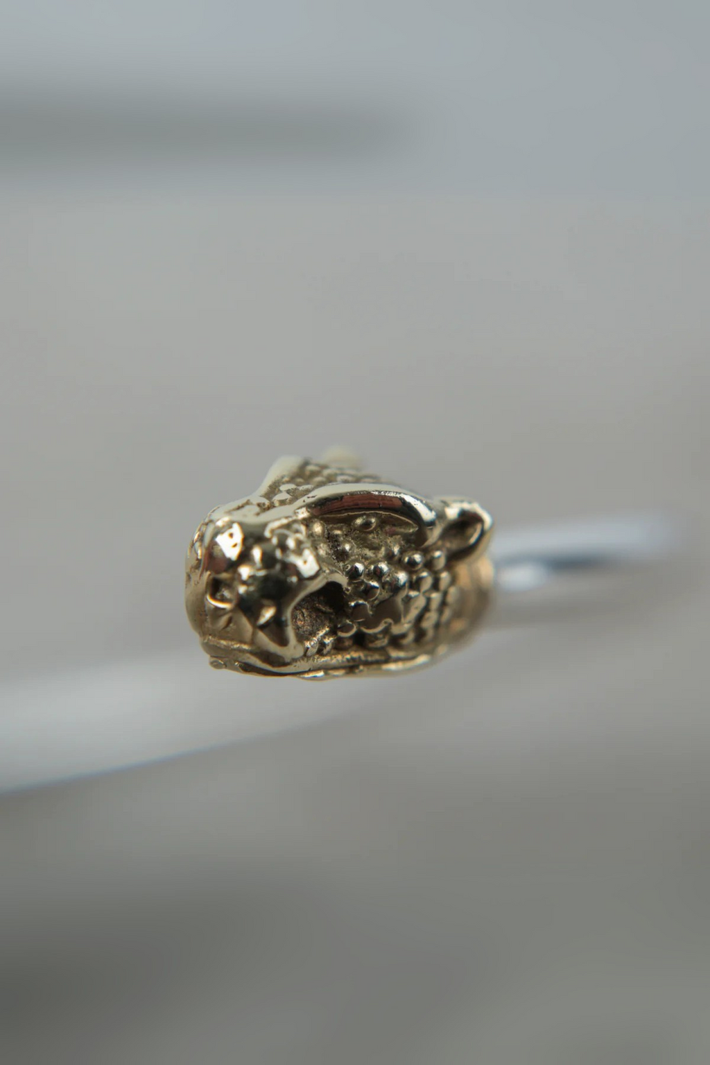 Chocker Plata Cabeza Puma Bronce