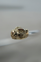 Chocker Plata Cabeza Puma Bronce