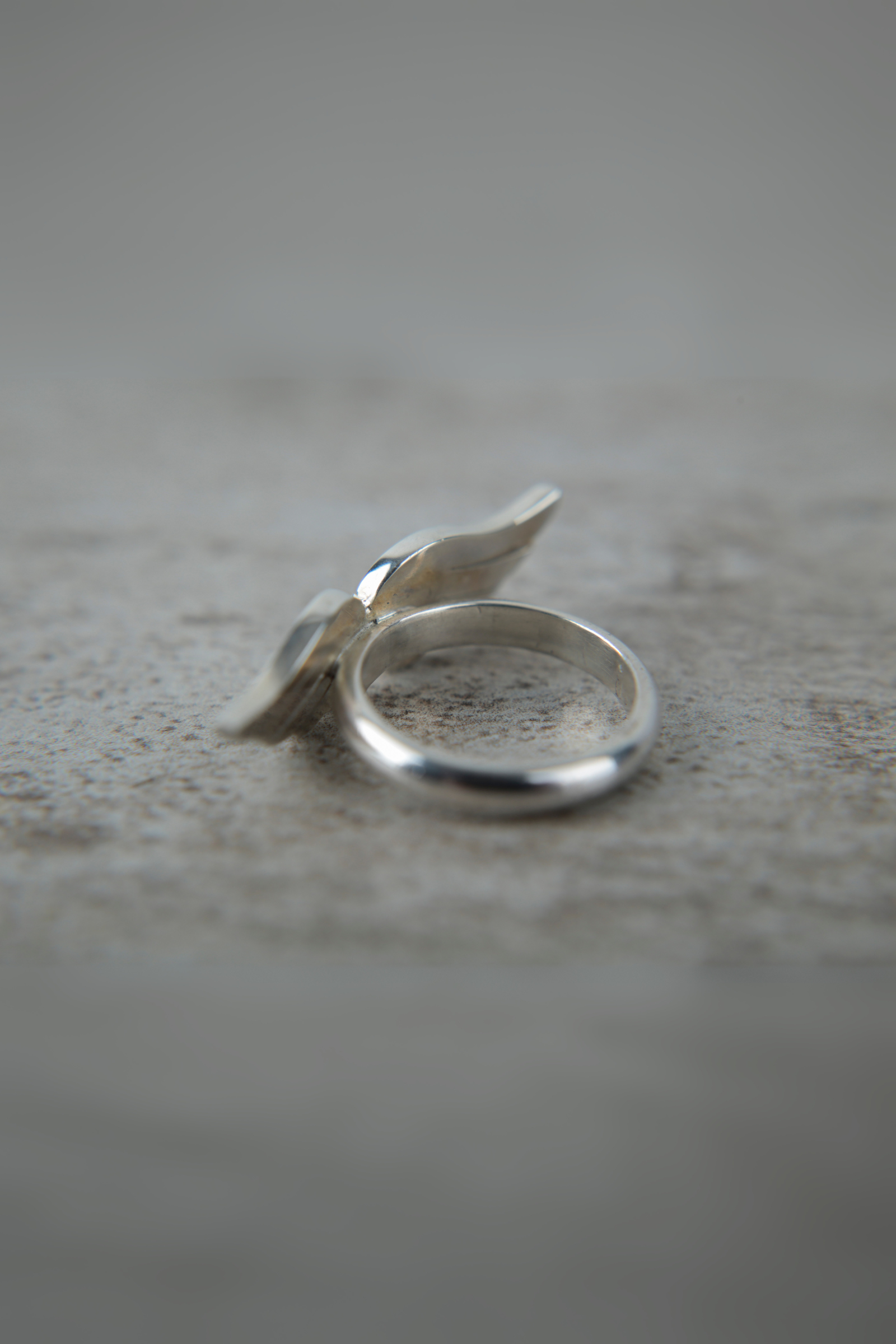 Anillo alas plata