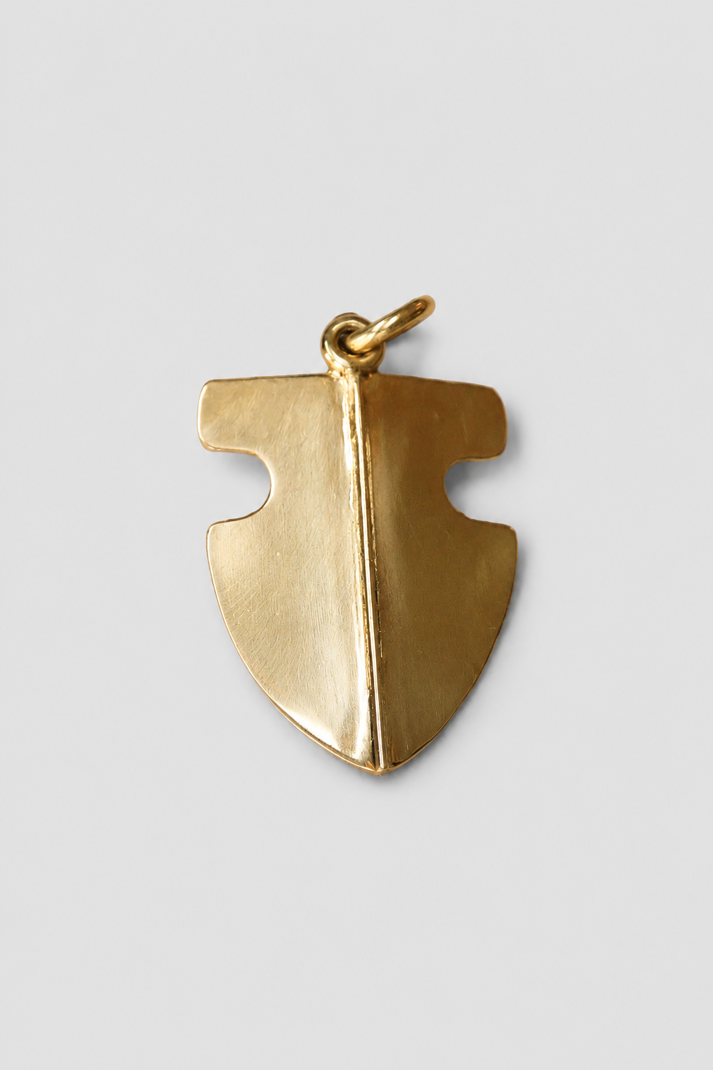 Escudo protector bronce