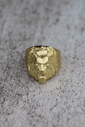 Anillo Meñique León Bronce — Co Rivera Chile