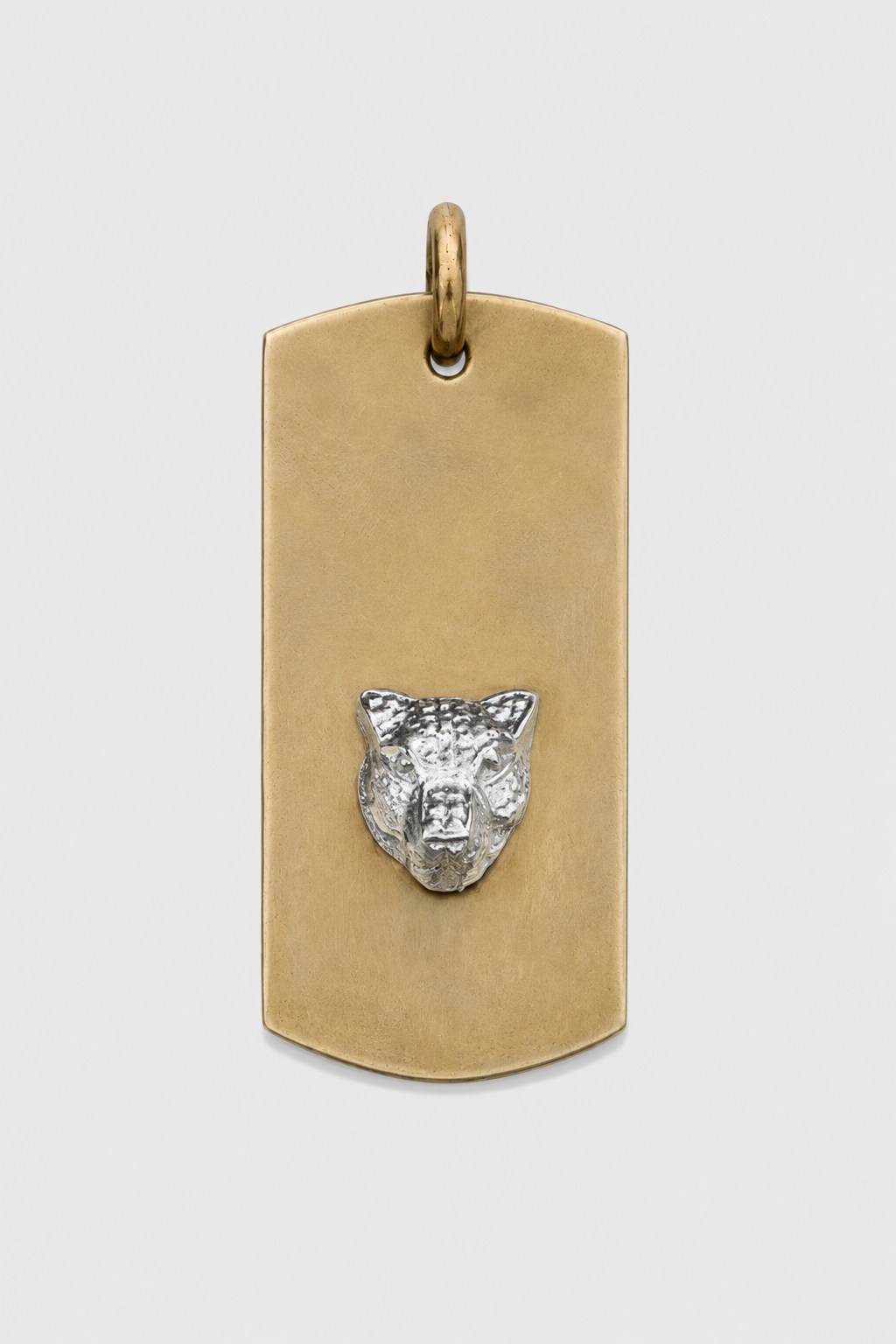 Placa bronce puma plata