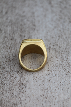 Anillo meñique Leon bronce