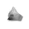 Anillo leon plata