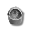 Anillo leon plata