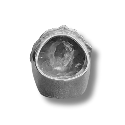 Anillo leon plata