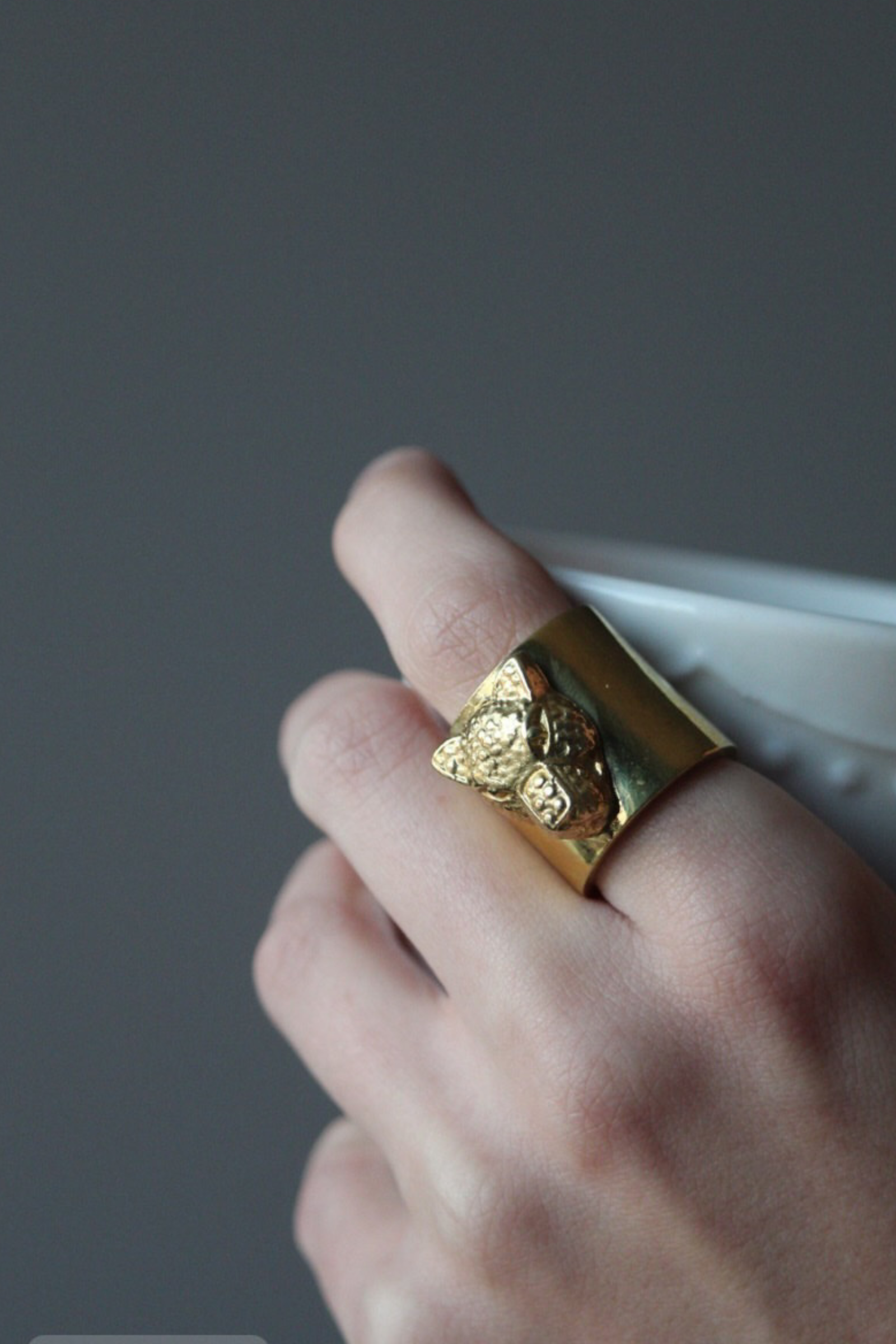 Anillo puma tubular bronce