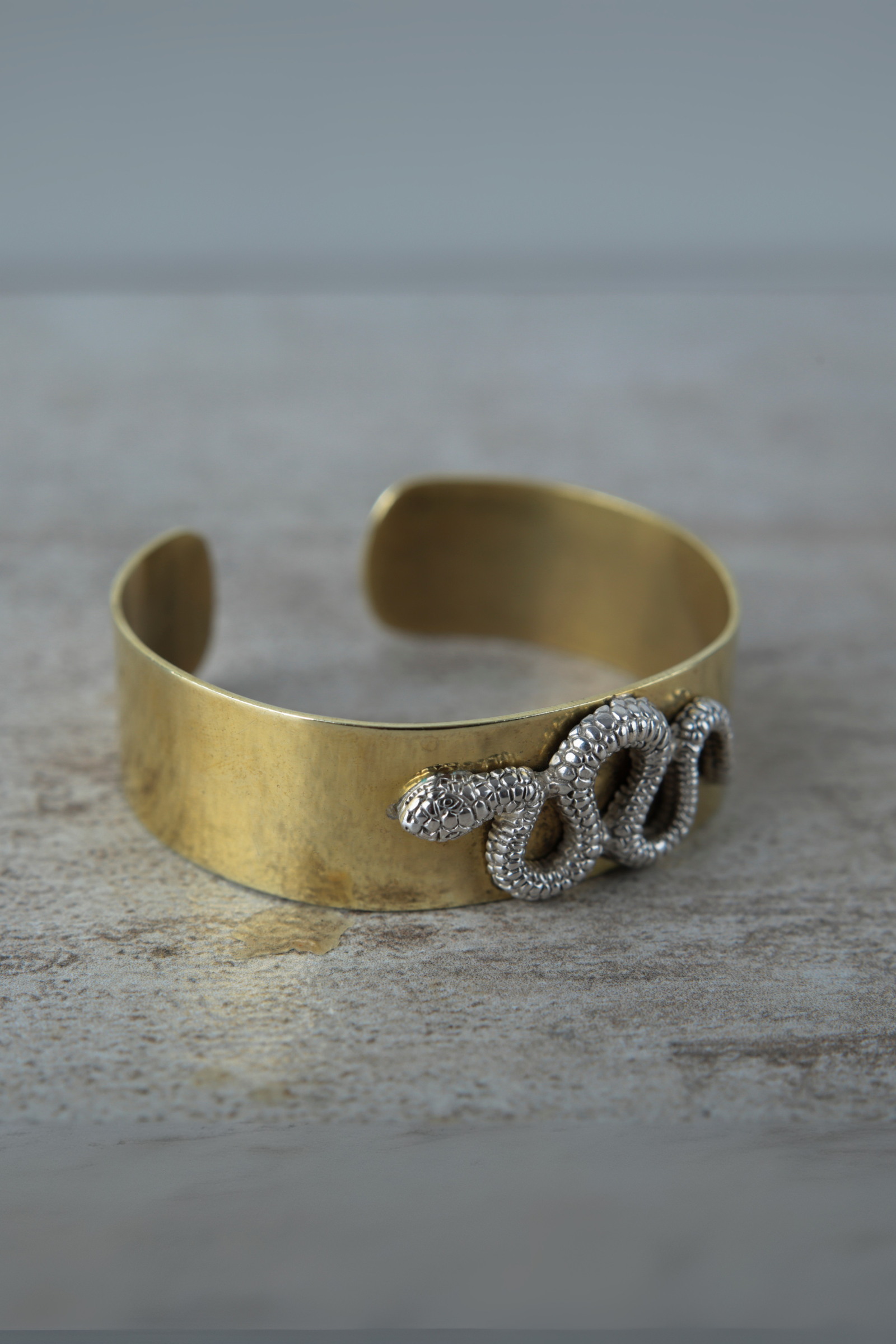 Esclava Bronce Serpiente Plata