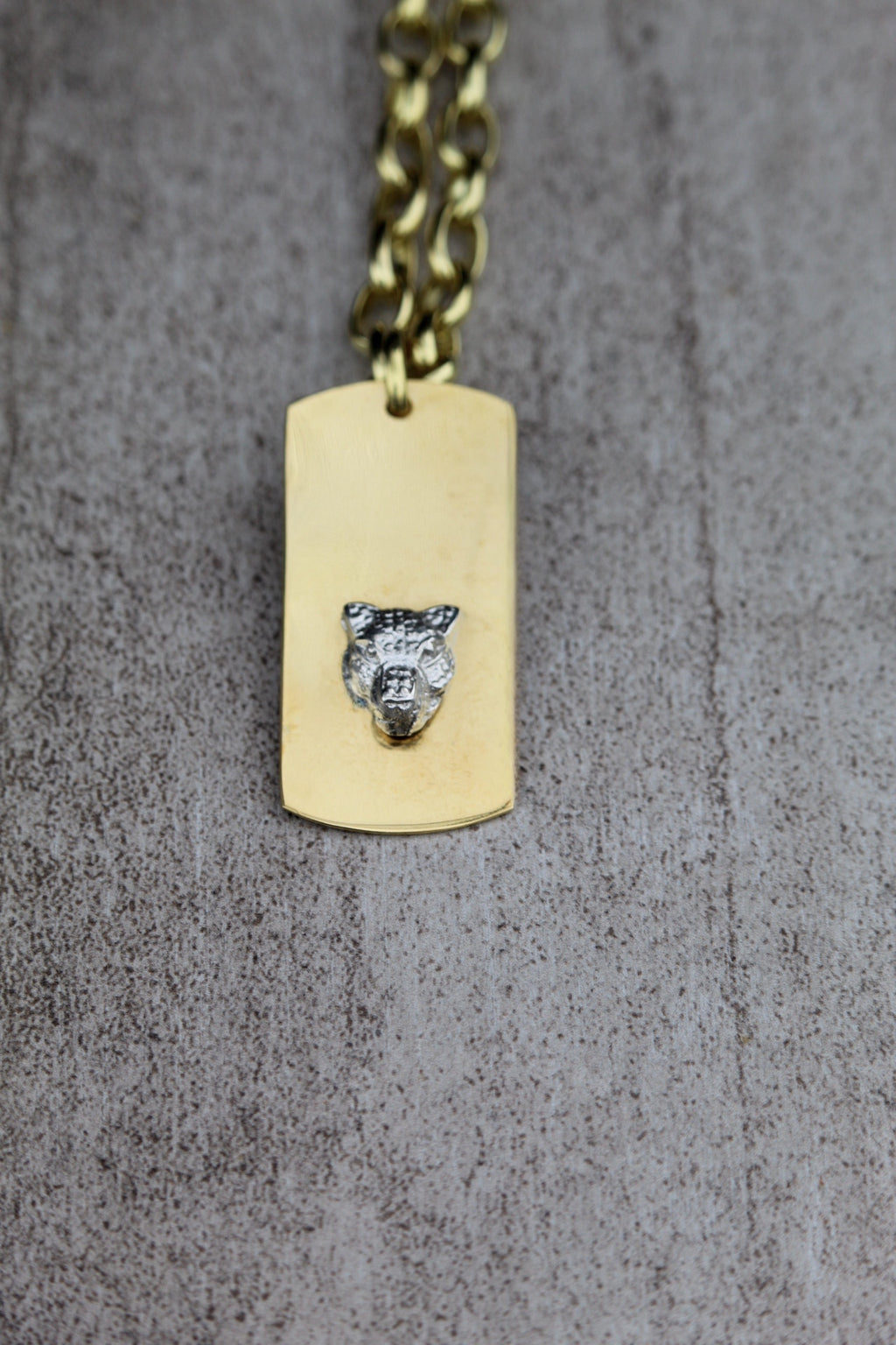 Placa bronce puma plata