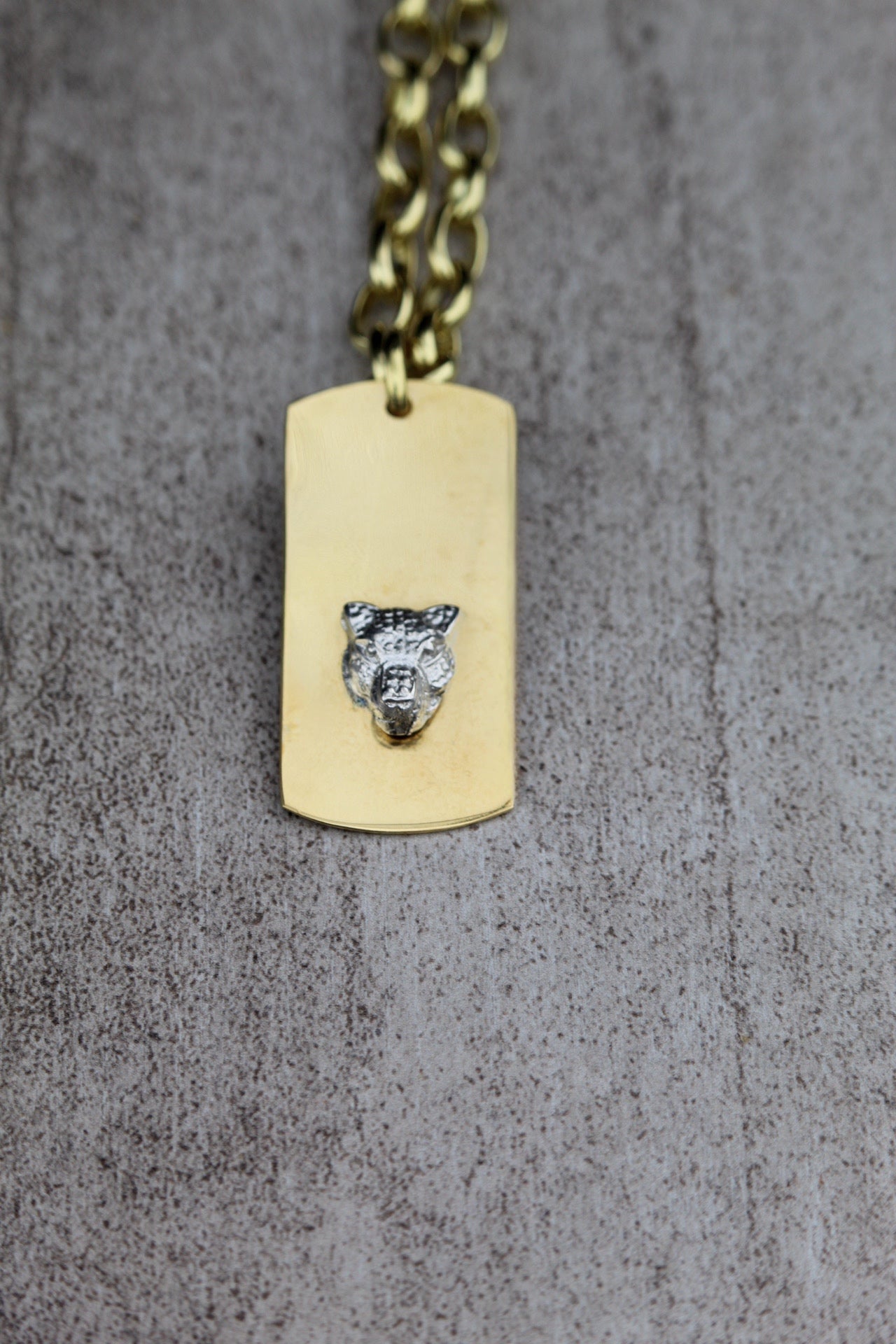 Placa bronce puma plata