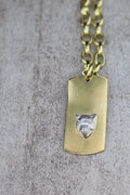 Placa Bronce Puma Plata — Co Rivera Chile