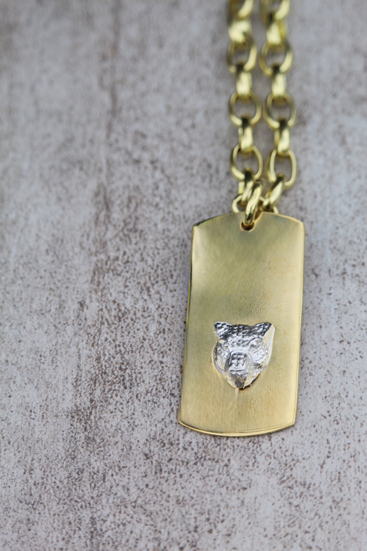 Placa Bronce Puma Plata — Co Rivera Chile