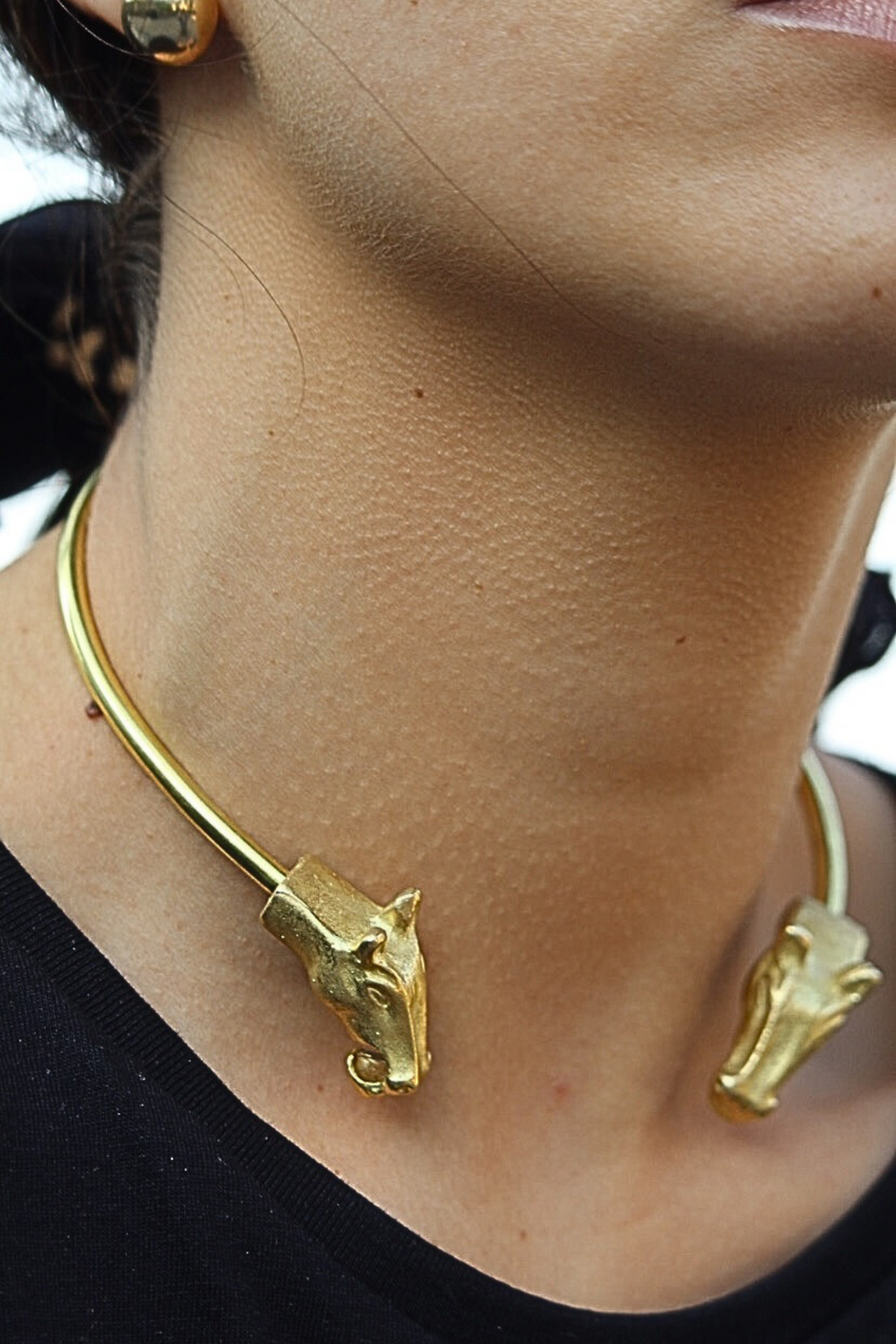 Chocker cabezas caballo