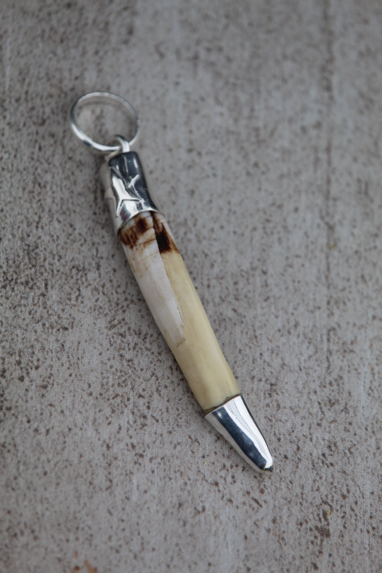 Cacho Jabalí estrella de plata