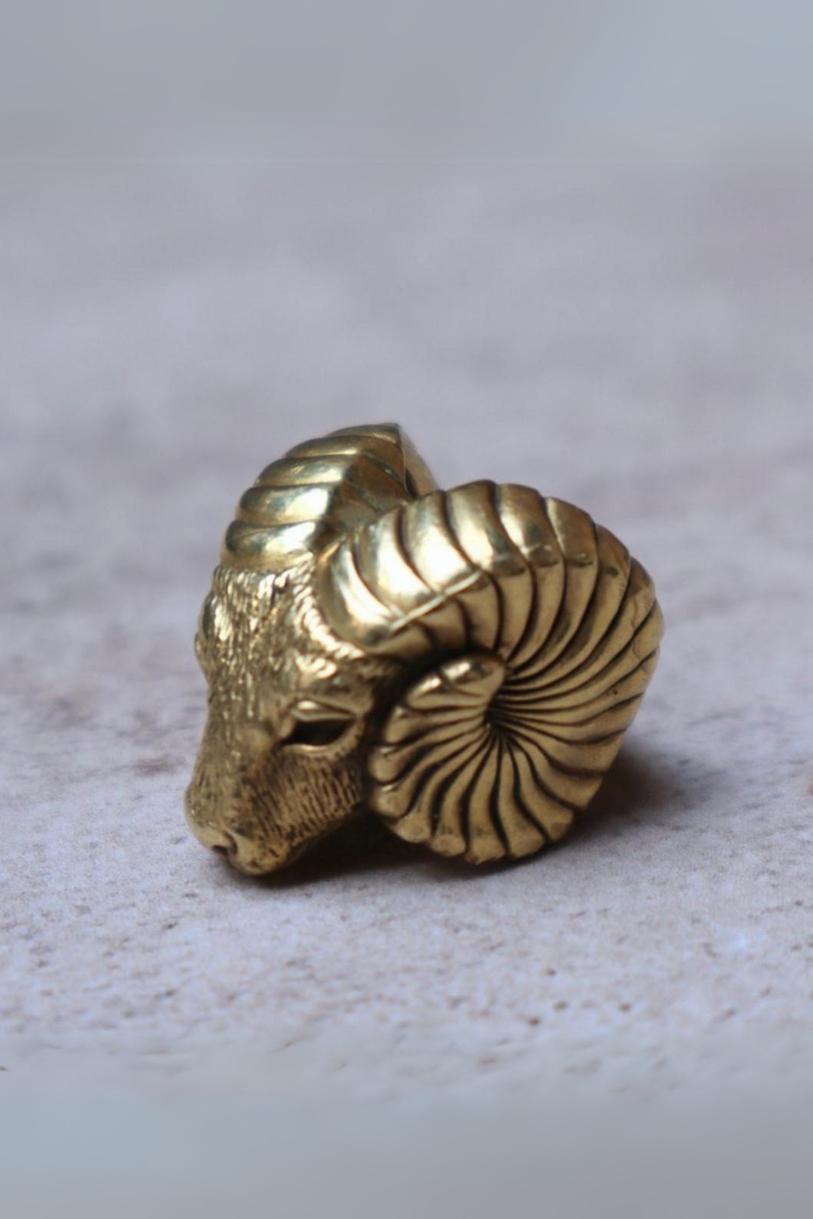 Anillo carnero bronce