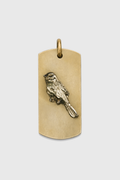 Placa Chucao de bronce — Co Rivera Chile