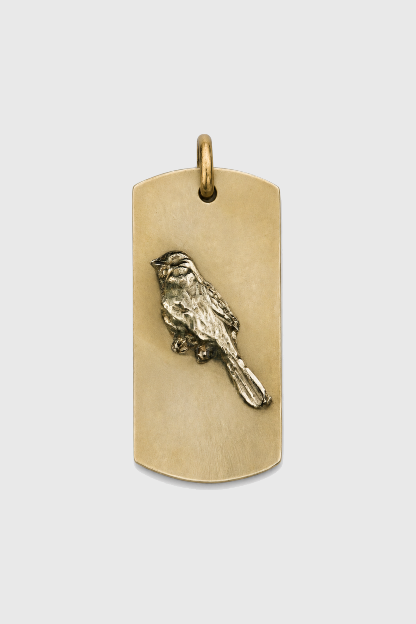 Placa Chucao de bronce — Co Rivera Chile