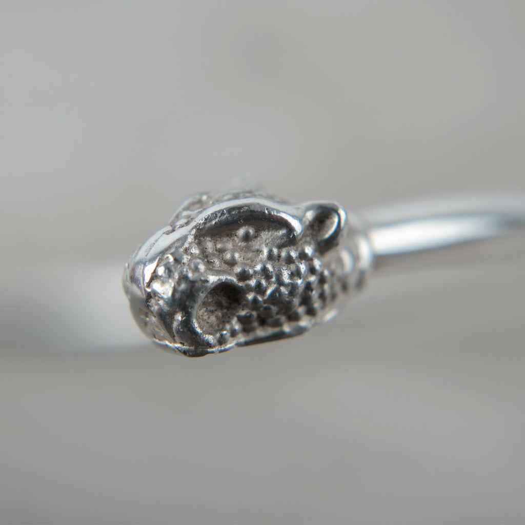 Chocker Puma Plata